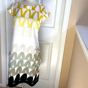 The limited gorgeous dress size 8